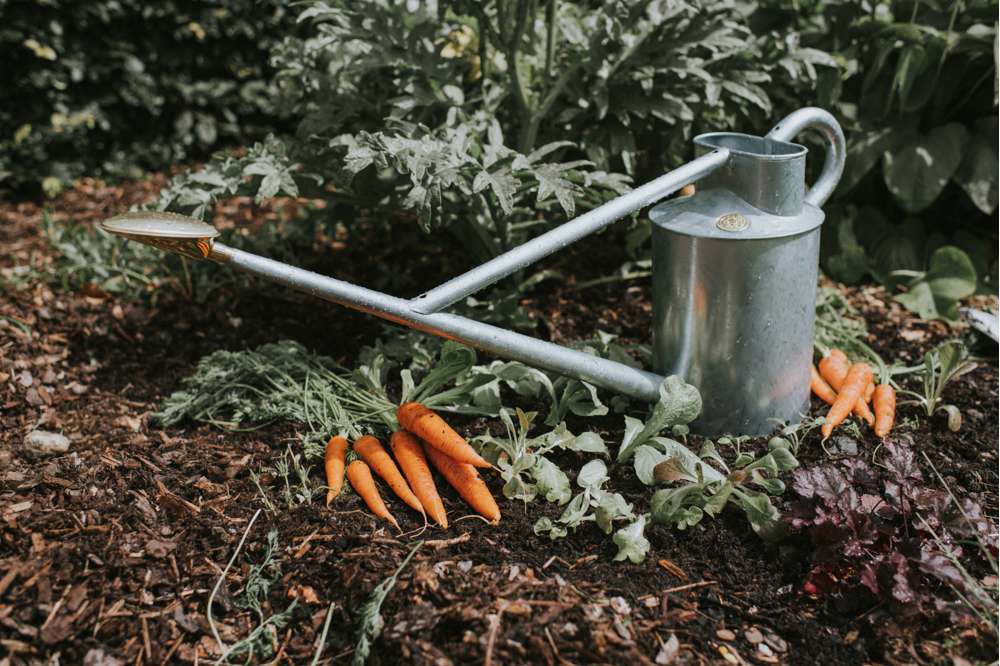 Haws The Warley Fall HDG - 9L Zink